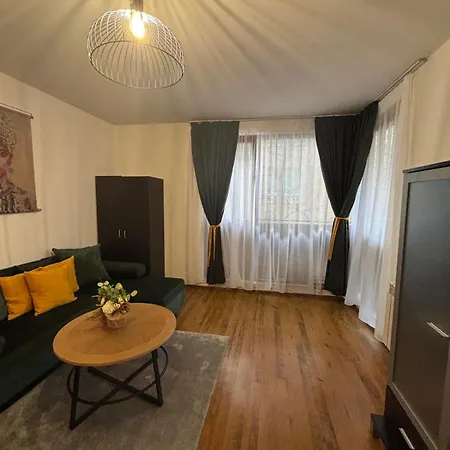 Modern Comfort Vitosha 1br