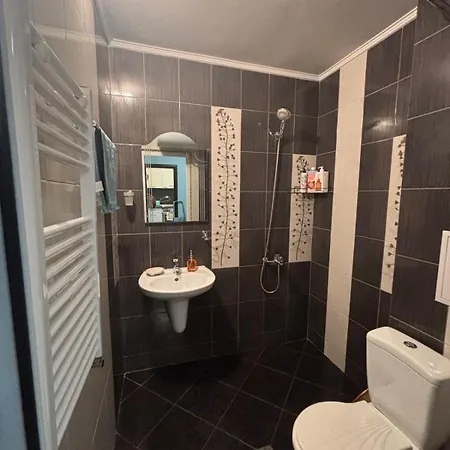 Apartment Modern Comfort Vitosha 1br *