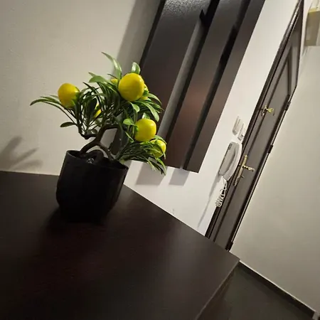 Modern Comfort Vitosha 1br * Sofia