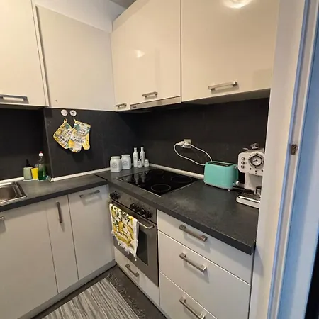 Modern Comfort Vitosha 1br Apartment