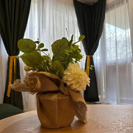 Modern Comfort Vitosha 1br Apartment